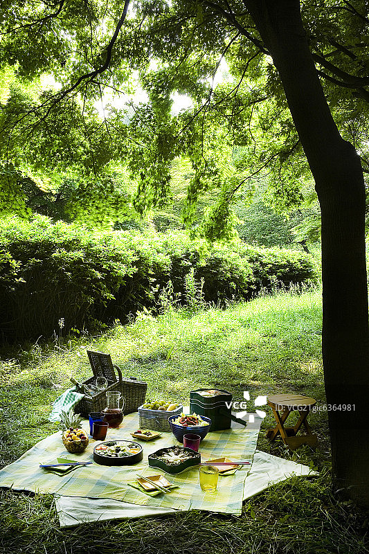 野餐餐桌布置图片素材