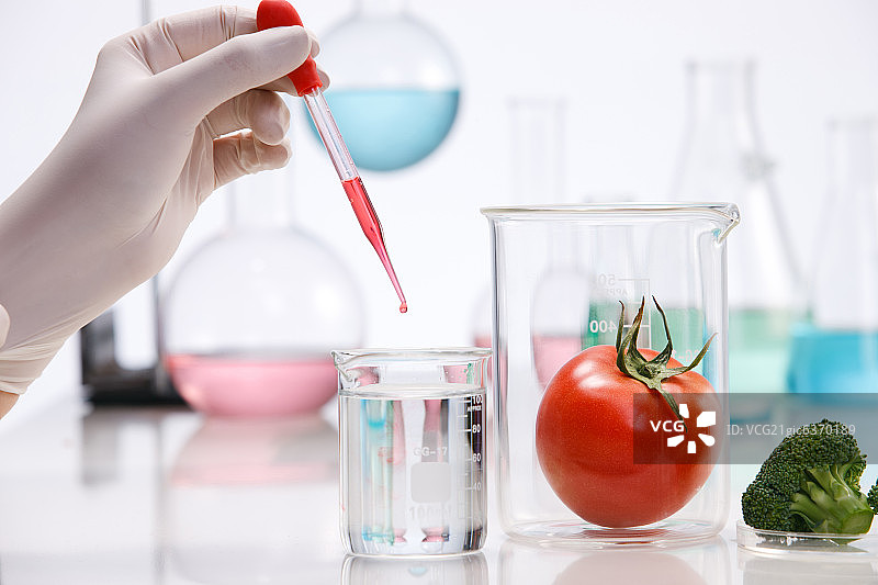 东方人搞培育科研图片素材