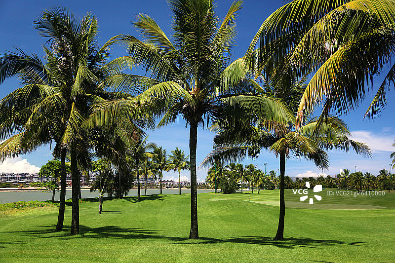 高尔夫球场图片素材