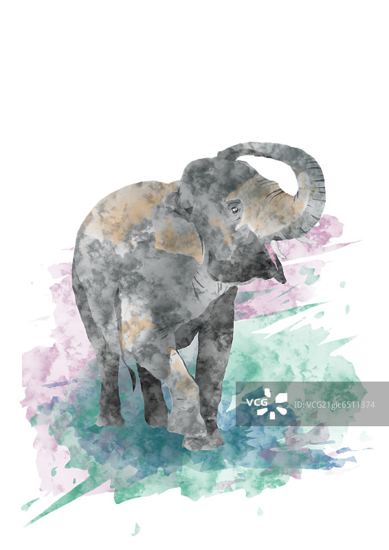 可爱的小象插画图片素材