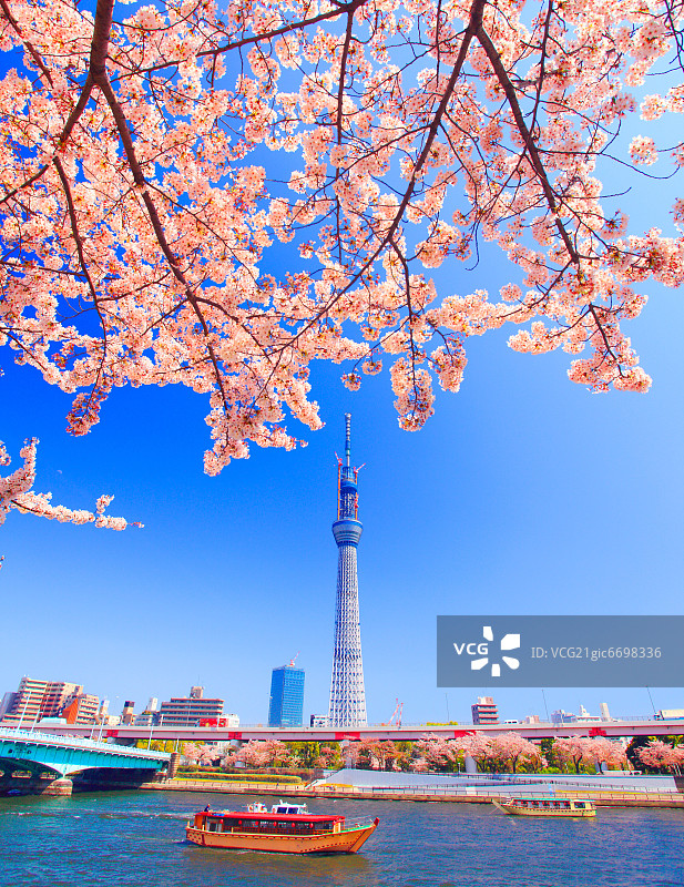 日本东京晴空塔图片素材