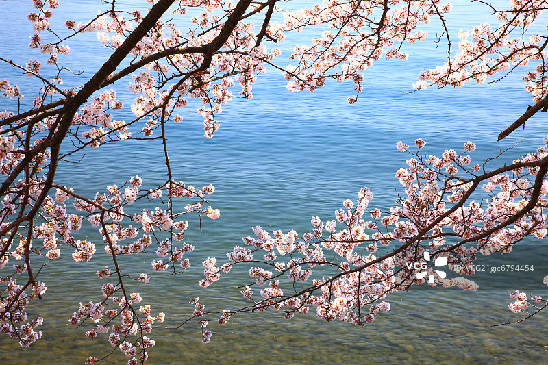 滋贺县高岛市图片素材