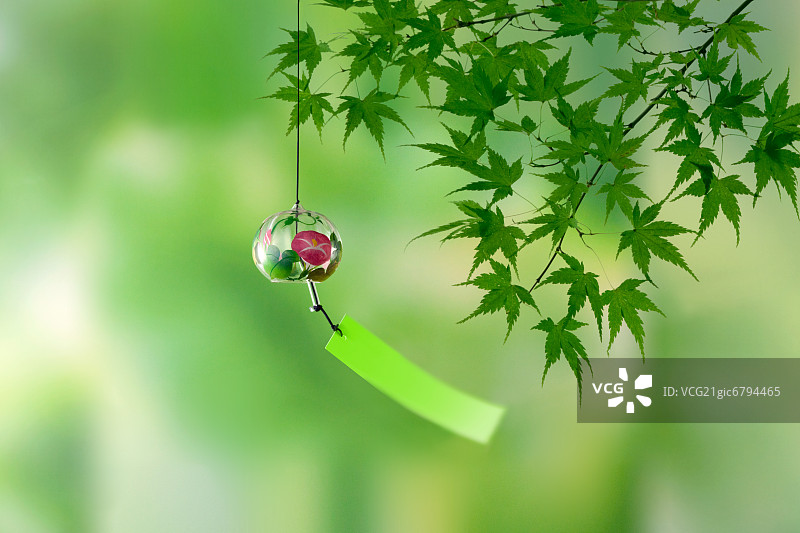 风铃与绿色枫叶图片素材