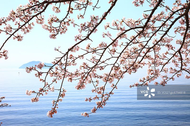 滋贺县高岛市图片素材