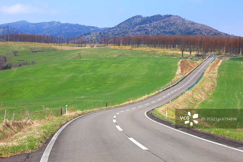 日本北海道奈井高原的道路图片素材