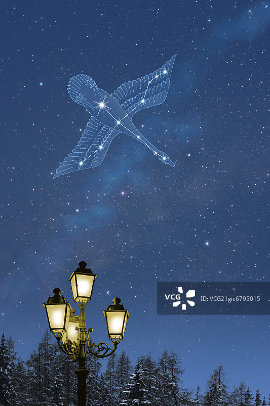 天鹅座与户外灯光图片素材