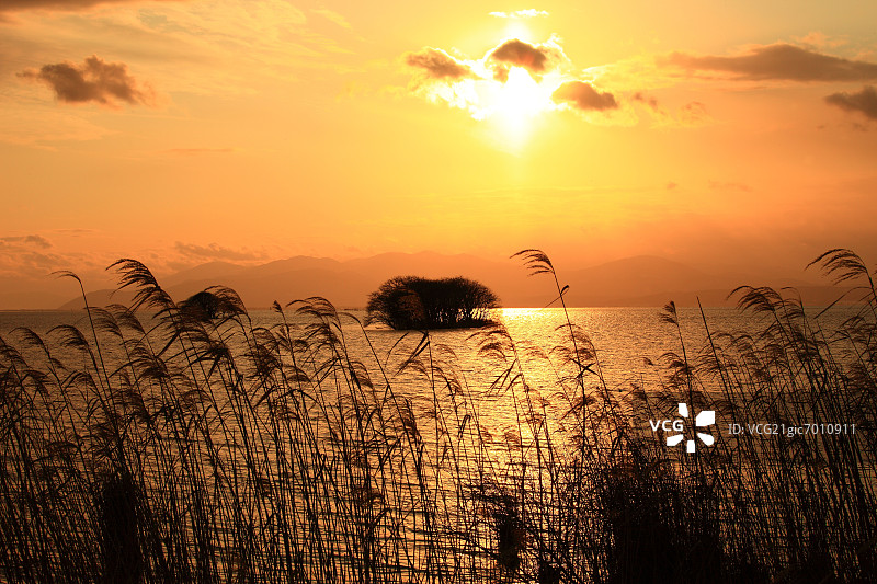 夕阳下的银色草地和琵琶湖，滋贺县图片素材