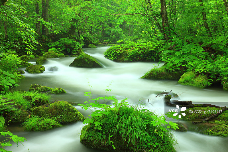 青森县奥入濑山涧图片素材