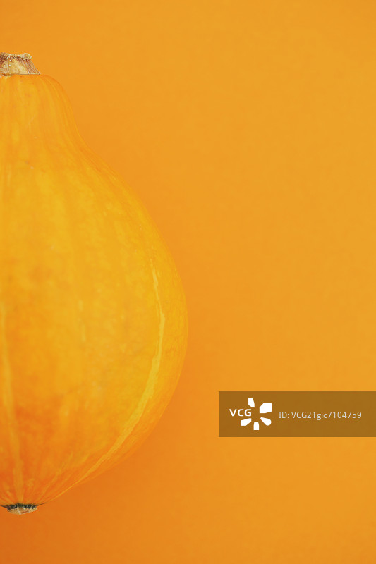 黄色背景上的普契尼南瓜图片素材