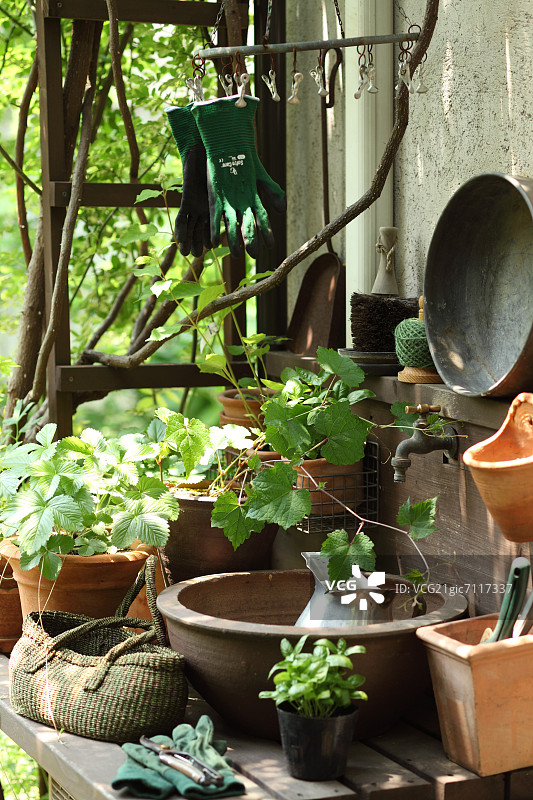 植物与园艺工具图片素材