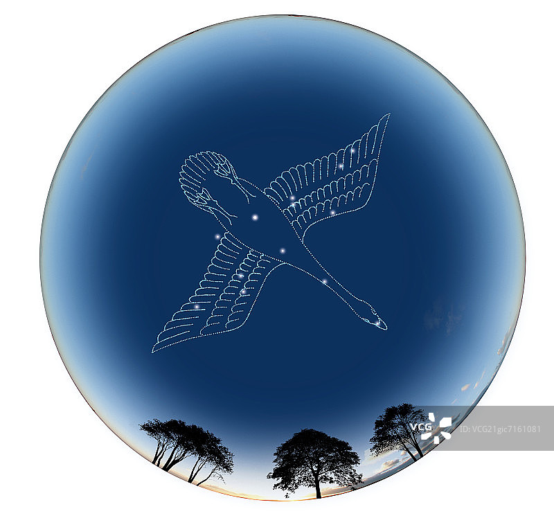 天鹅座占星符号图片图片素材