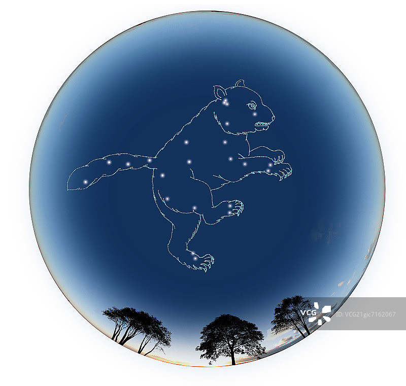 星座标志，大熊座，白色背景图片图片素材