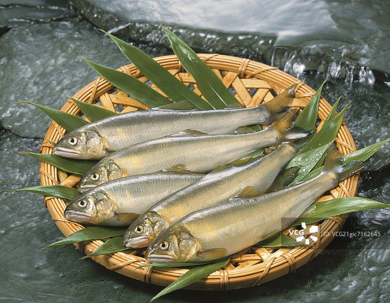 溪流中的香鱼篮图片素材
