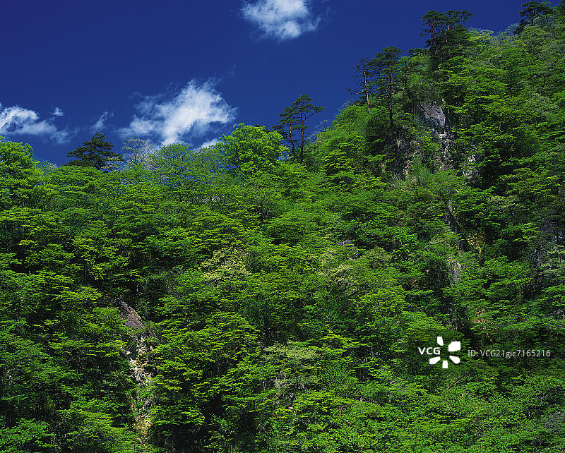 日本本州宫城县鸣子峡图片素材
