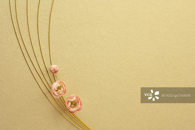 梅花和水引图片素材