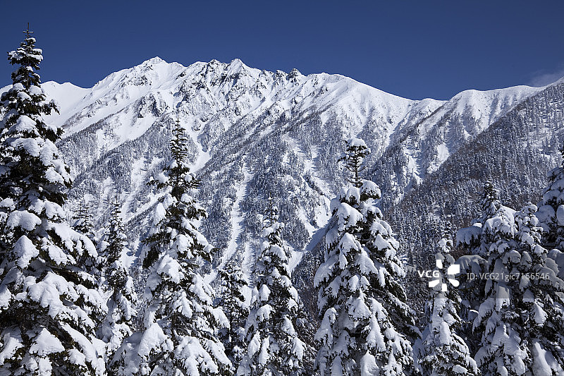 从仙石原眺望枪岳图片素材