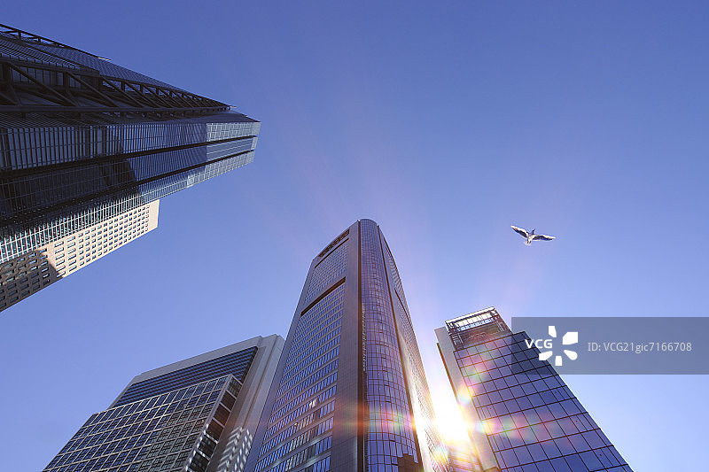 海鸥飞过日本东京汐留SIO-SITE图片素材