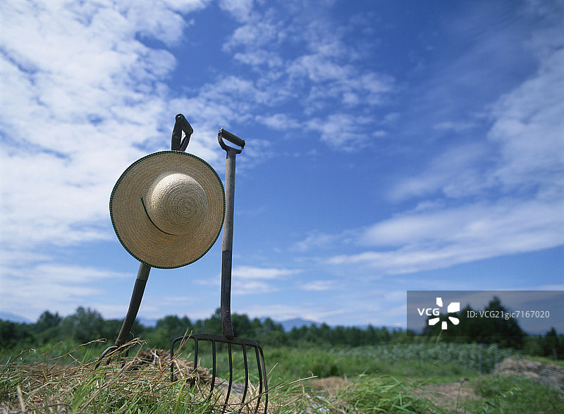 田野中的园艺工具图片素材
