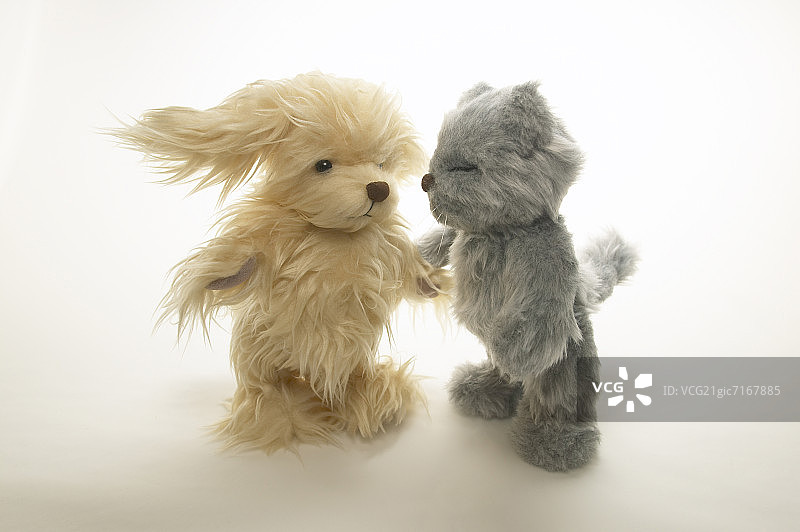 玩具狗和玩具猫手牵手，白色背景图片素材