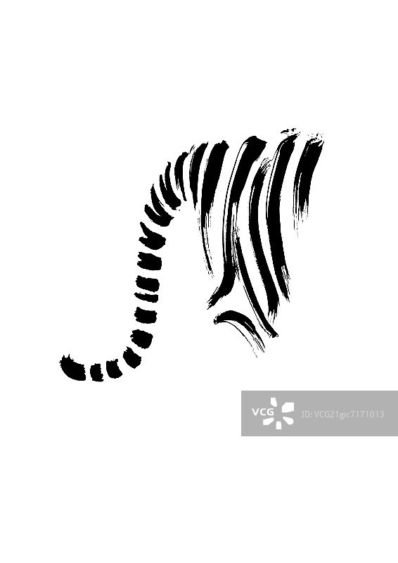 老虎尾巴的侧面图片素材