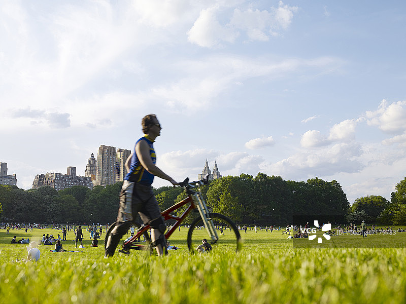美国纽约中央公园绵羊草地图片素材