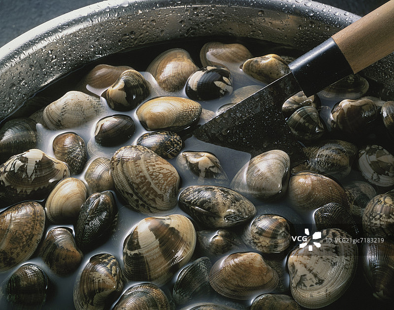 一锅水中的蛤蜊图片素材