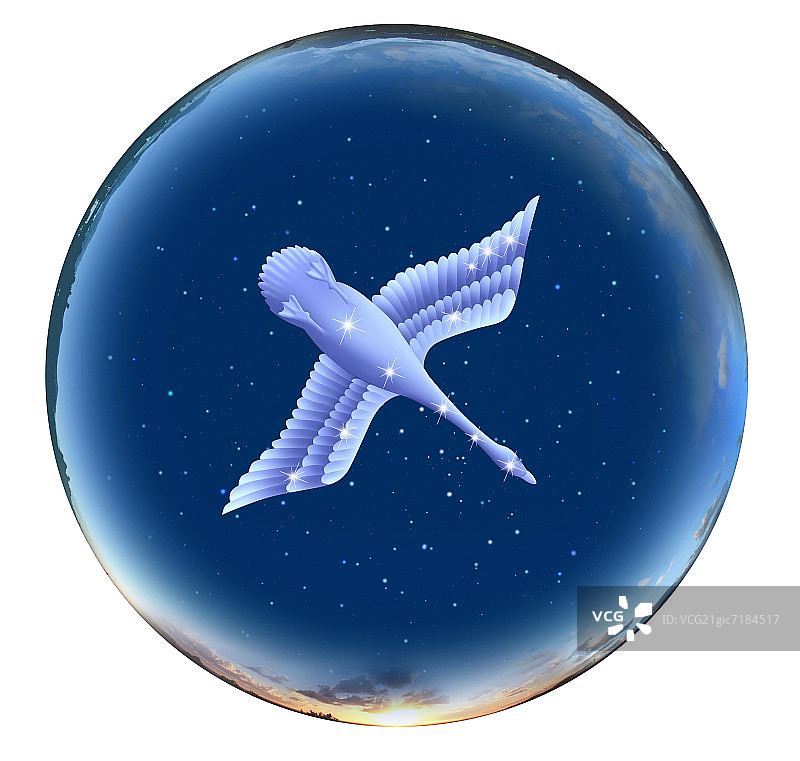 天鹅座占星符号图片图片素材