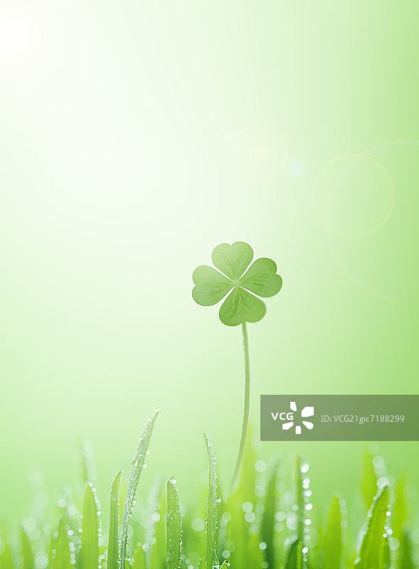 四叶草绿色背景图片素材
