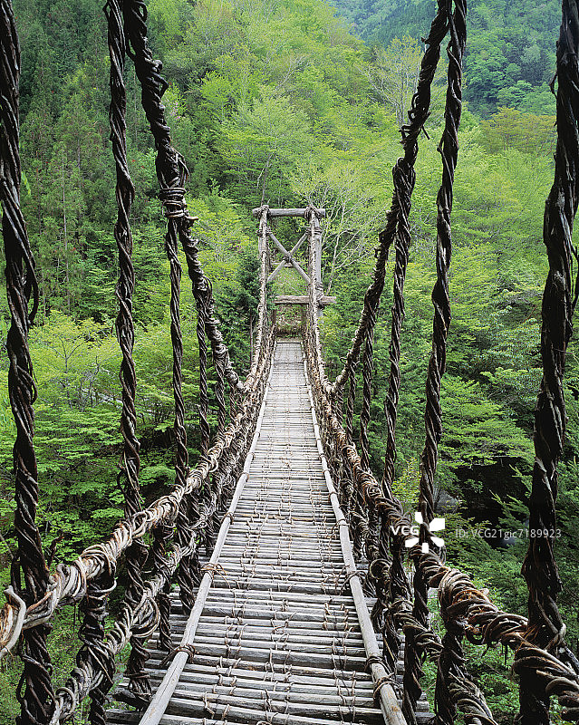 祖谷川上的藤蔓吊桥图片素材