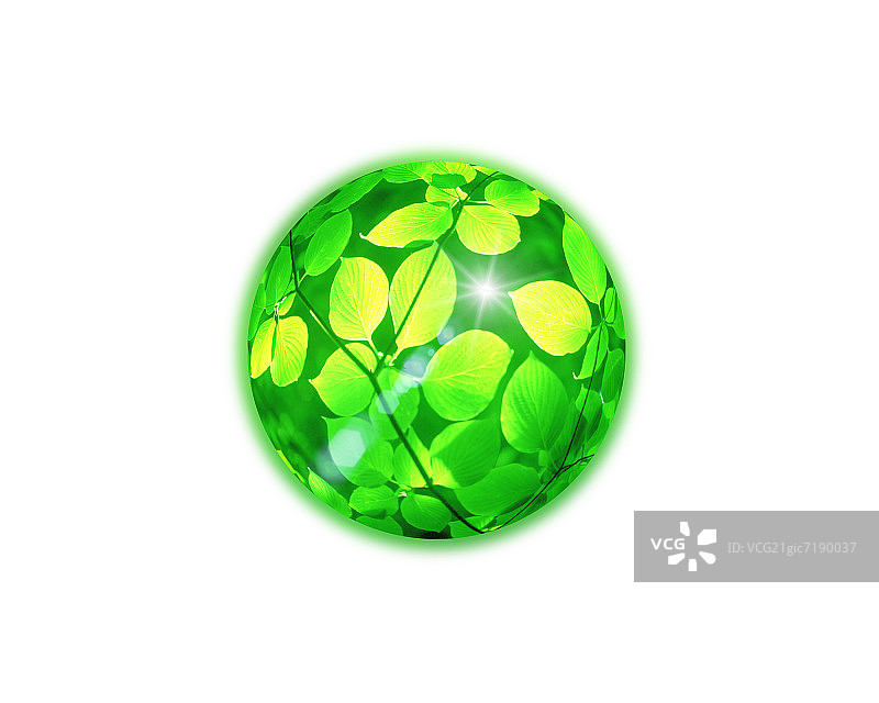 球体中的树枝图片素材