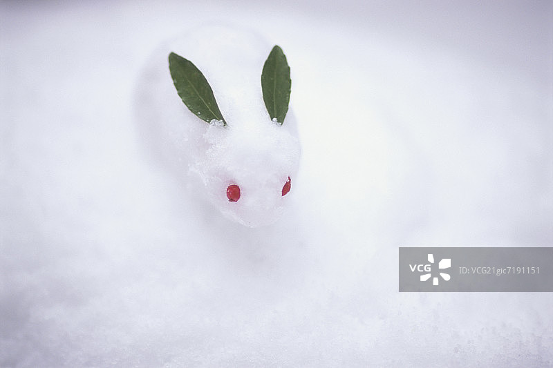 雪做的兔子图片素材