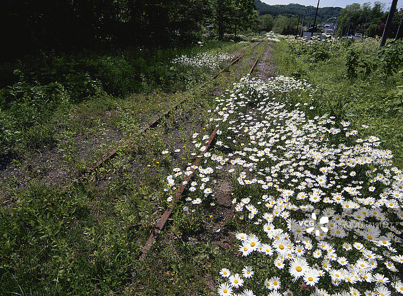 废弃的赛道图片素材