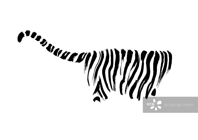 老虎尾巴和后半部分的侧面图图片素材