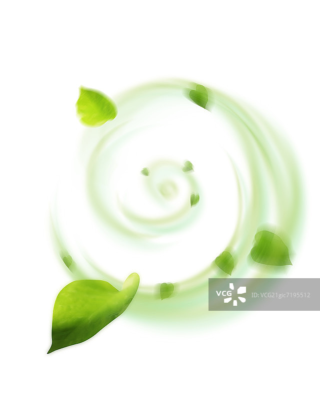 螺旋状排列的树叶图片素材