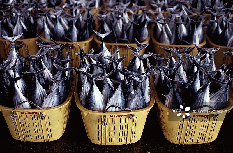 鲣鱼板条箱，千叶县铫子市，日本图片素材