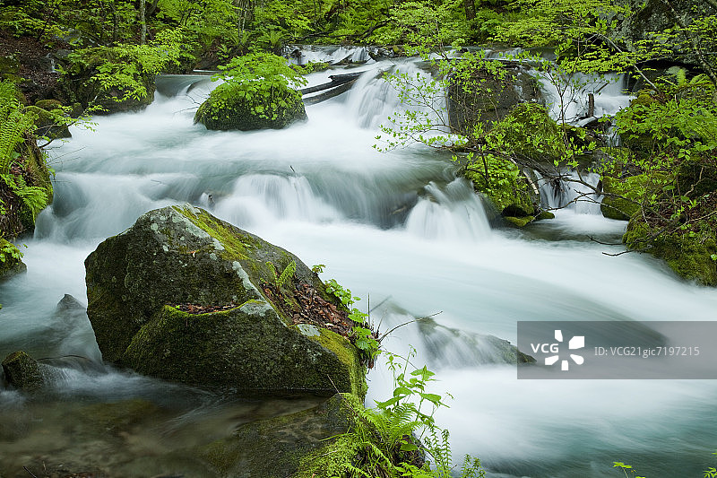奥入濑溪流图片素材