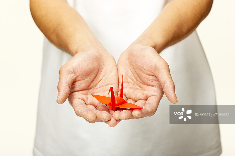 手中的折纸鹤图片素材