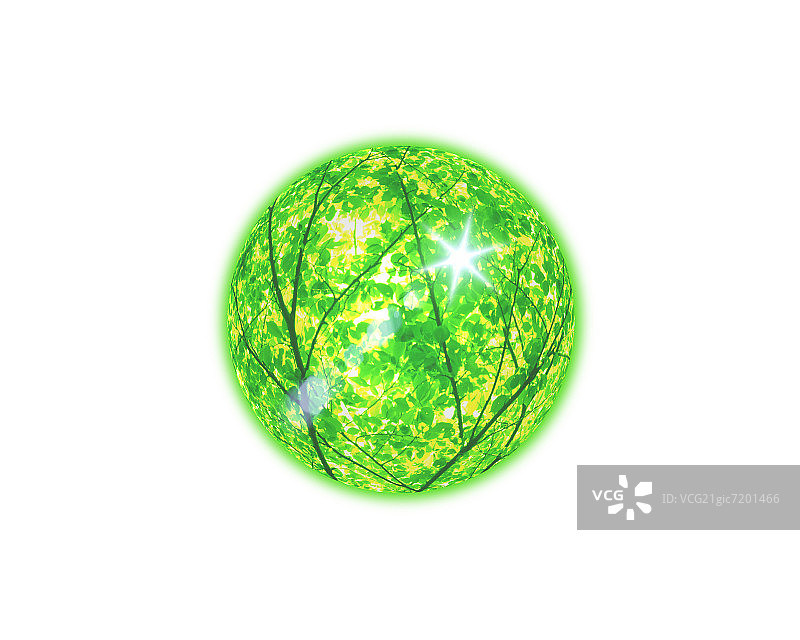 球体中的树枝图片素材