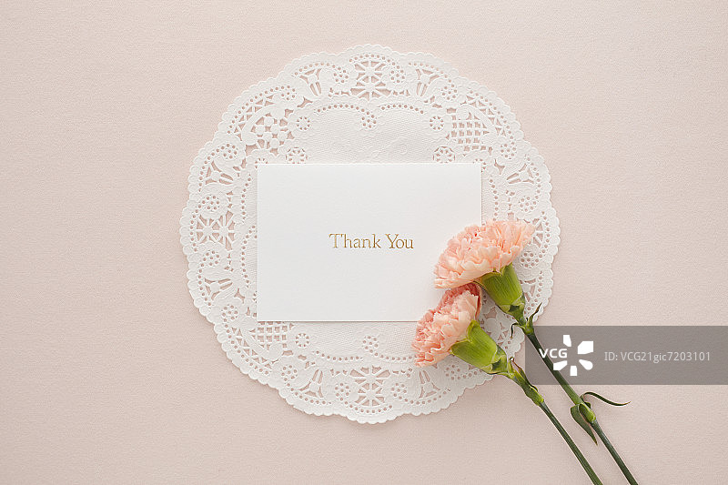 感谢卡和粉色康乃馨图片素材
