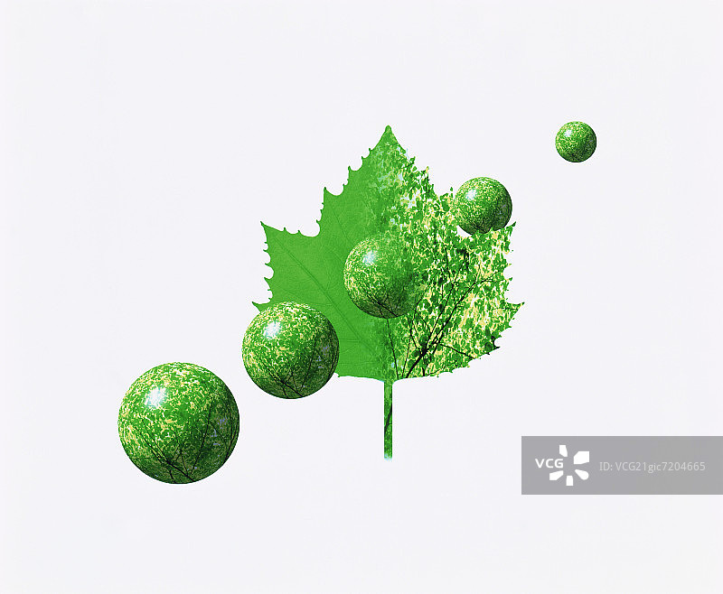 嫩绿和绿色球图片素材