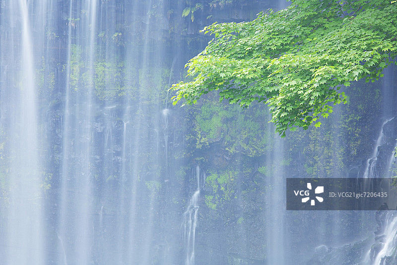 清晨的白丝瀑布图片素材