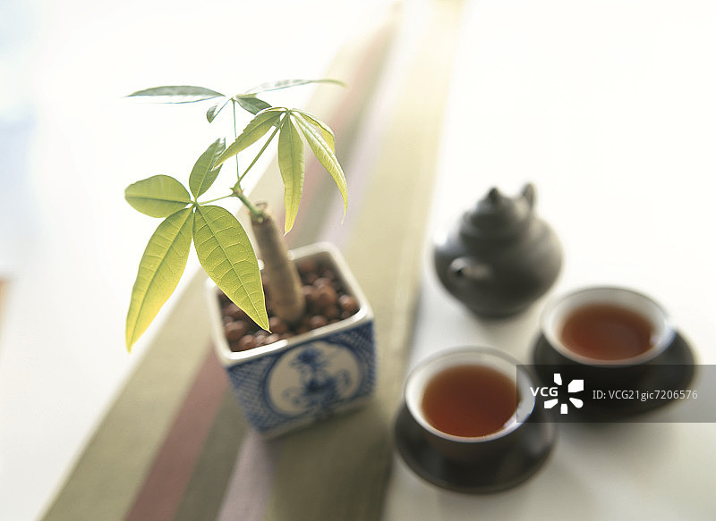搭配马拉巴栗树的茶具图片素材