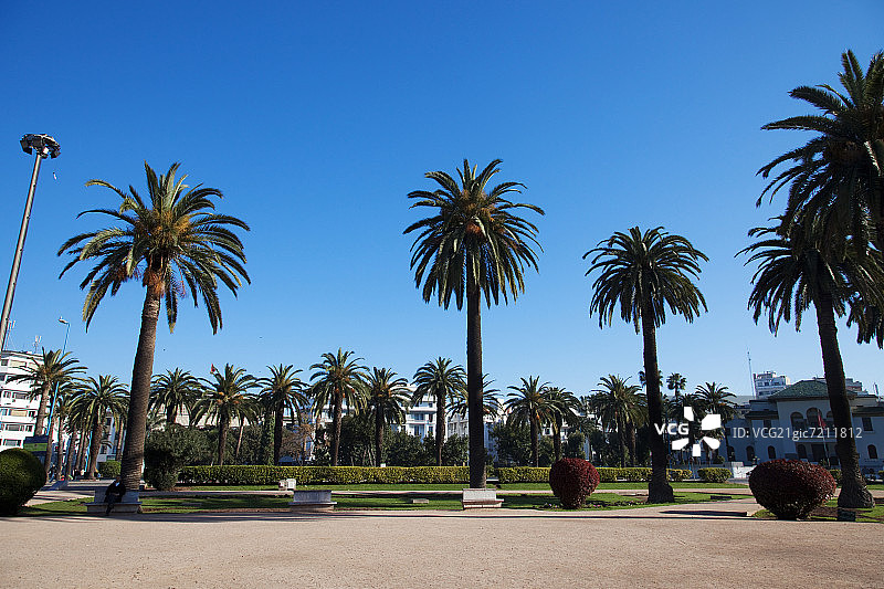 联合国广场，卡萨布兰卡，摩洛哥图片素材