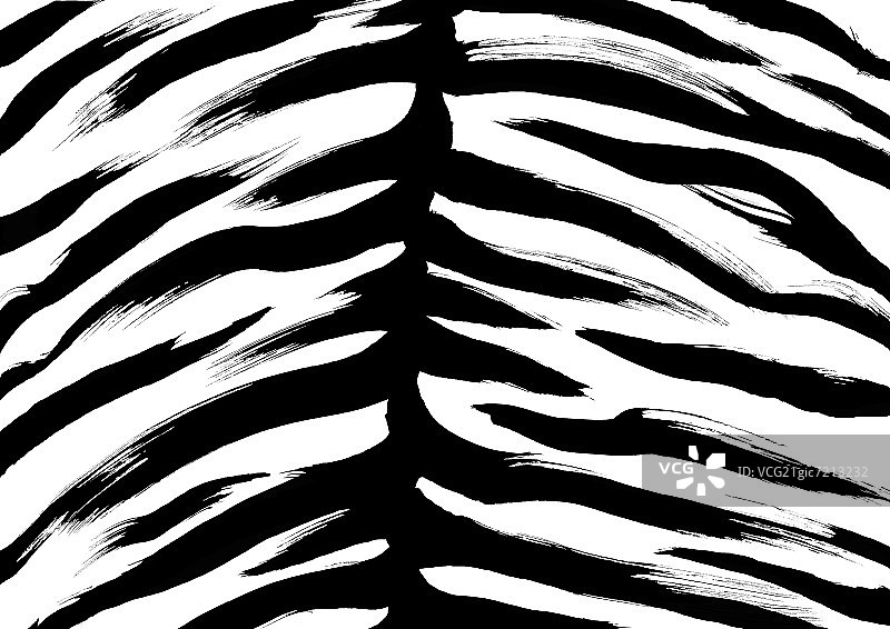 黑白虎纹图案图片素材