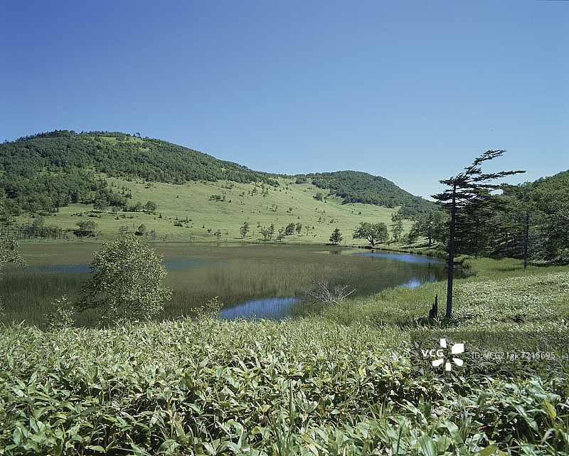 夏季日本北海道上士幌町的篠野目湖图片素材
