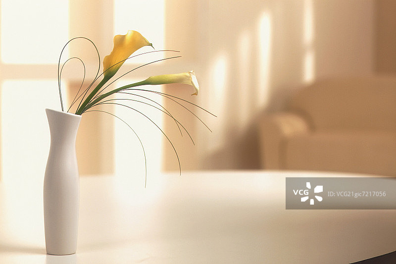 房间桌上的花瓶图片素材
