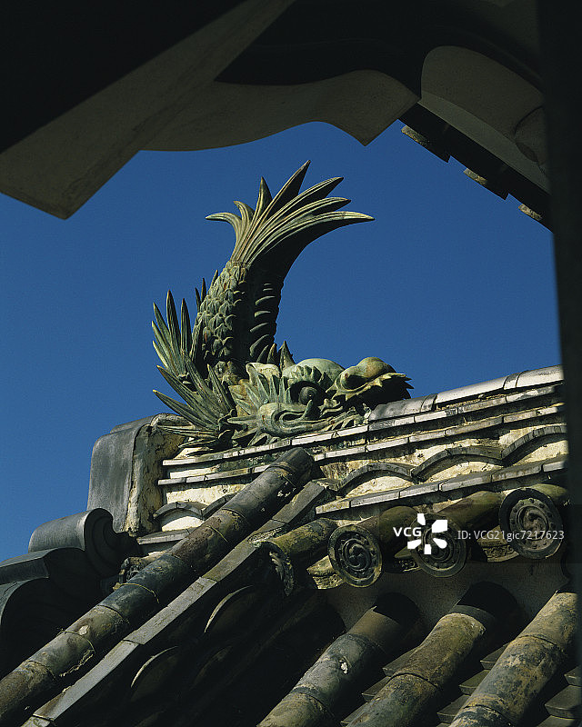 日本四国高知县高知城上的鯱图片素材