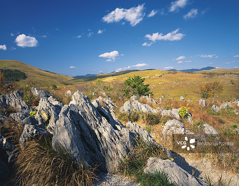 秋吉台，日本本州山口县图片素材