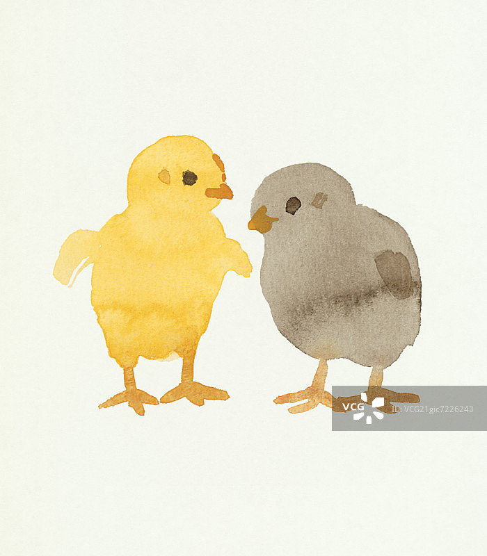 两只小鸡水彩画图片素材