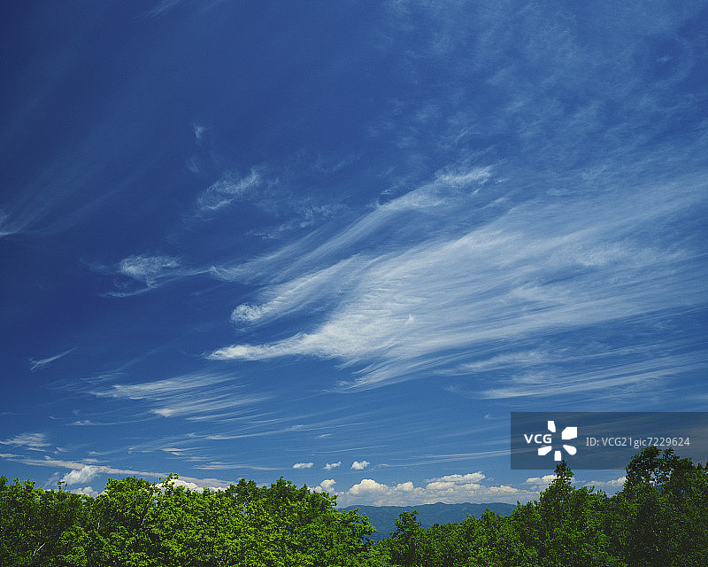 树木上空的卷云图片素材